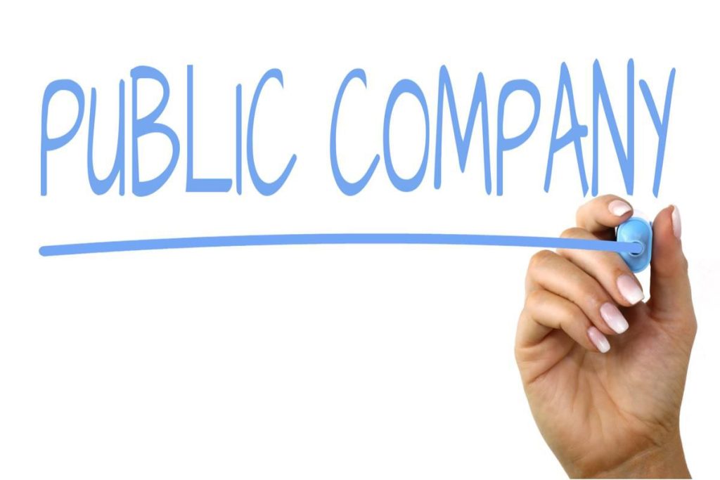 What is public business?