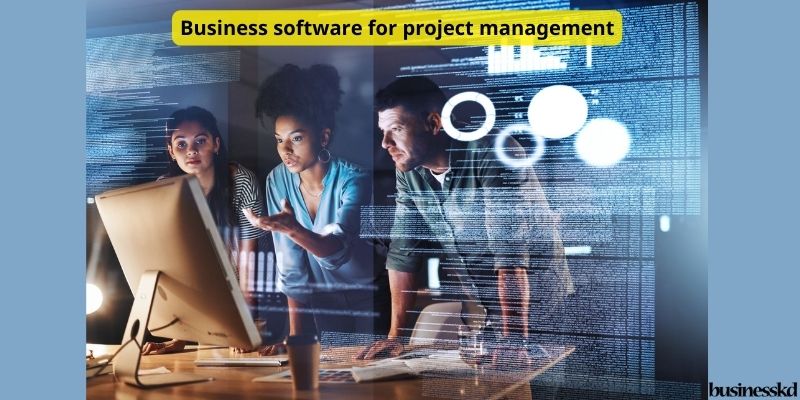 Business software for project management