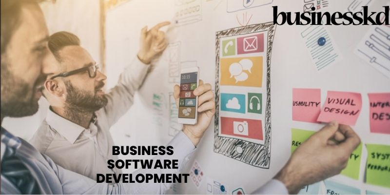 Business software development