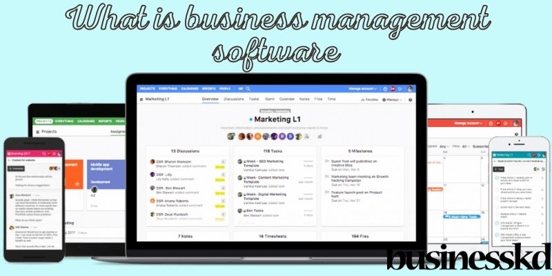 What is business management software